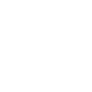 DESIGNERMOM-GT-logo-b