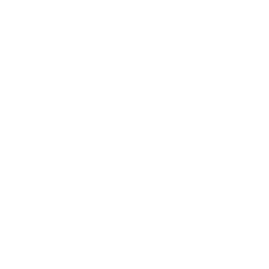 Logo-Rashida-Belly-Dance-B