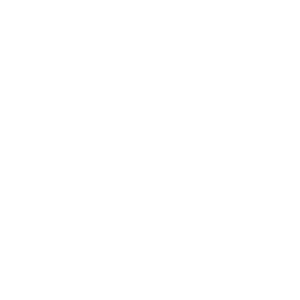 evoluciinalogoblanco